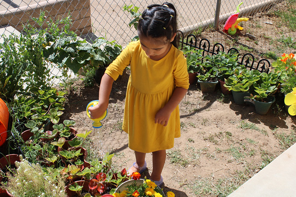 Little Feathers Preschool Program Pala California Magic Moments Tiny Green Thumbs